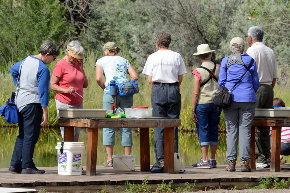 Park visitors at Pond Program.