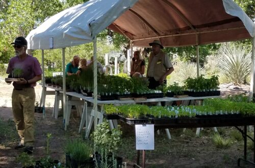 Herb sales at Herbfest.